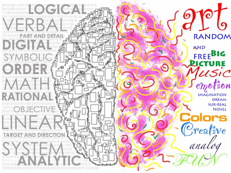 Two side of the brain