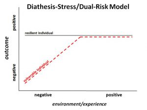 Diathesis Stress Diagram