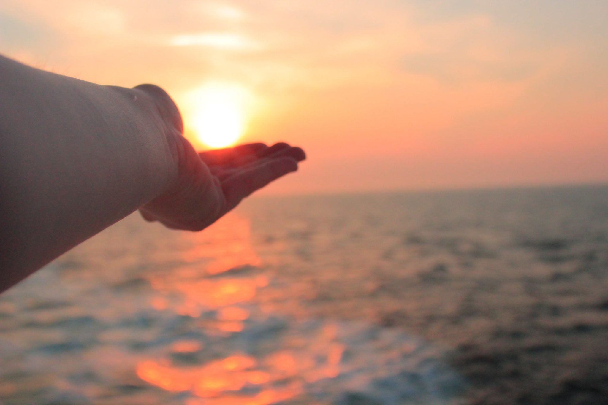 Hand holding the sunset