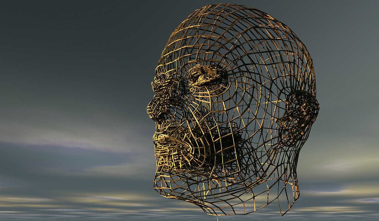 Wire-frame of human skull