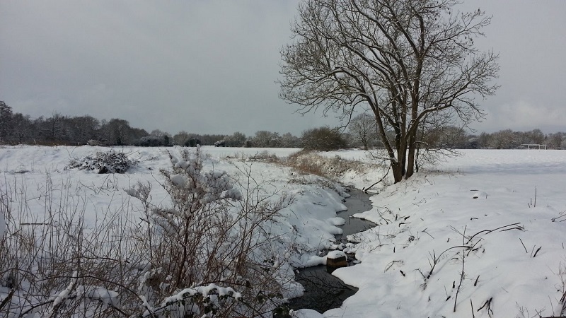 Snowy field- Marden