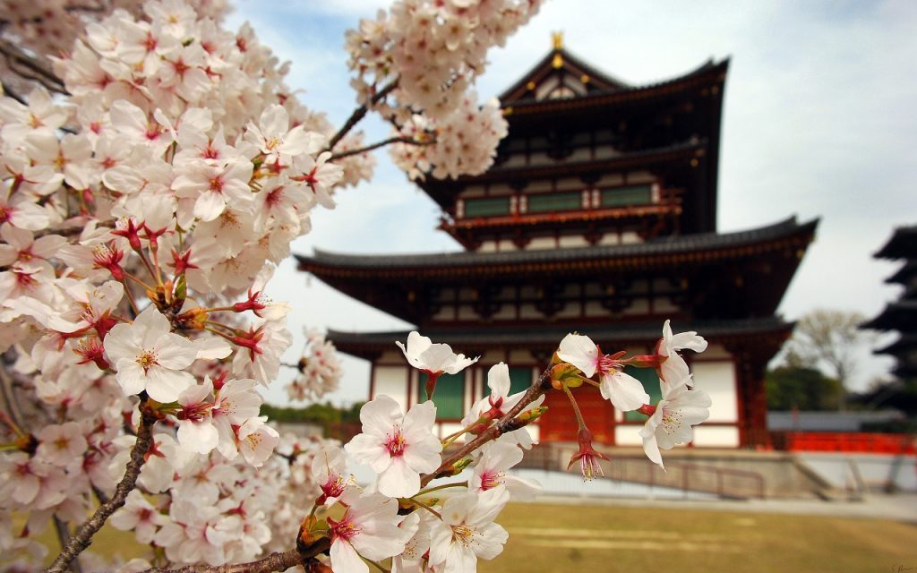 Cherry blossom near a Japanese Pagoda