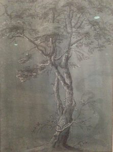 van uden study of a birch